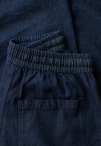 Seasalt Cornwall Regular Broek in Blauw