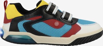 GEOX Sneakers 'Inek' in Mixed colors