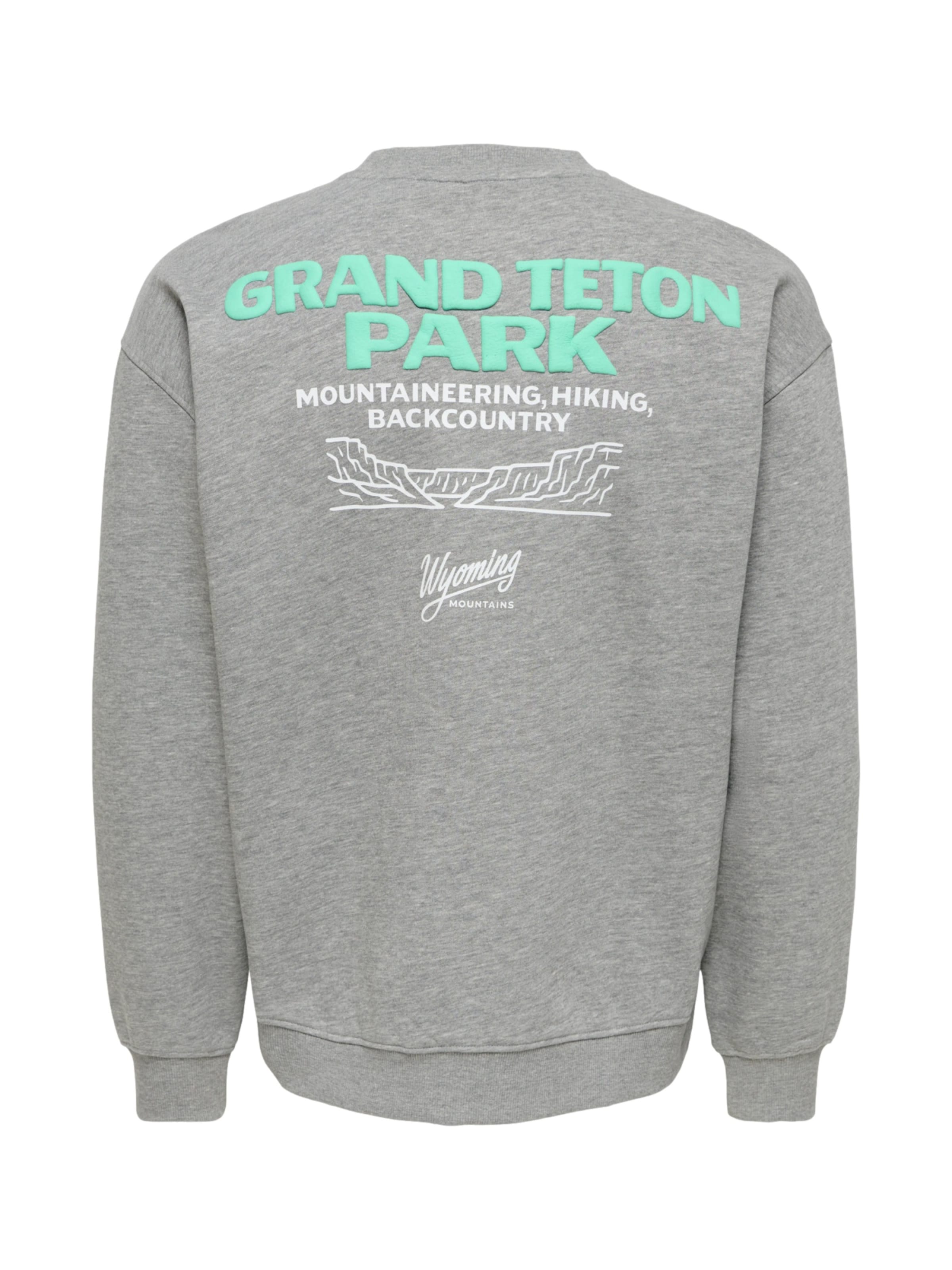 Only & Sons Sweatshirt 'ONSBejmo Morits' in Grijs
