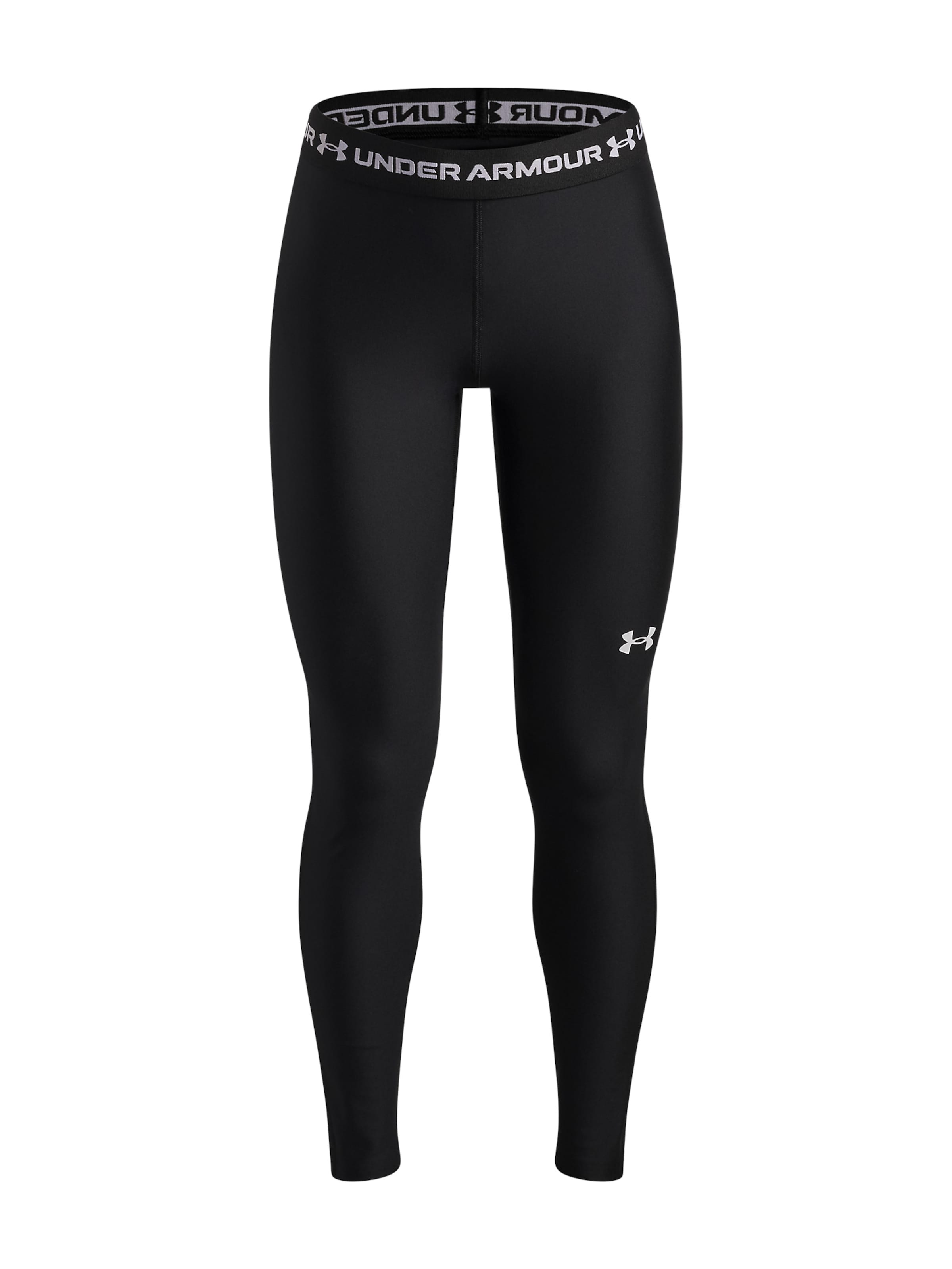 UNDER ARMOUR Skinny Sports trousers 'HeatGear' in Black: front