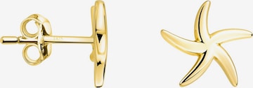 Sofia Milani Earrings 'Star' in Gold: front