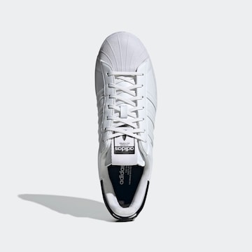 Baskets basses 'Superstar' ADIDAS ORIGINALS en blanc