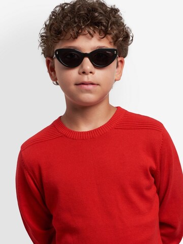 Lunettes de soleil 'PLD 8068/S' Polaroid en noir