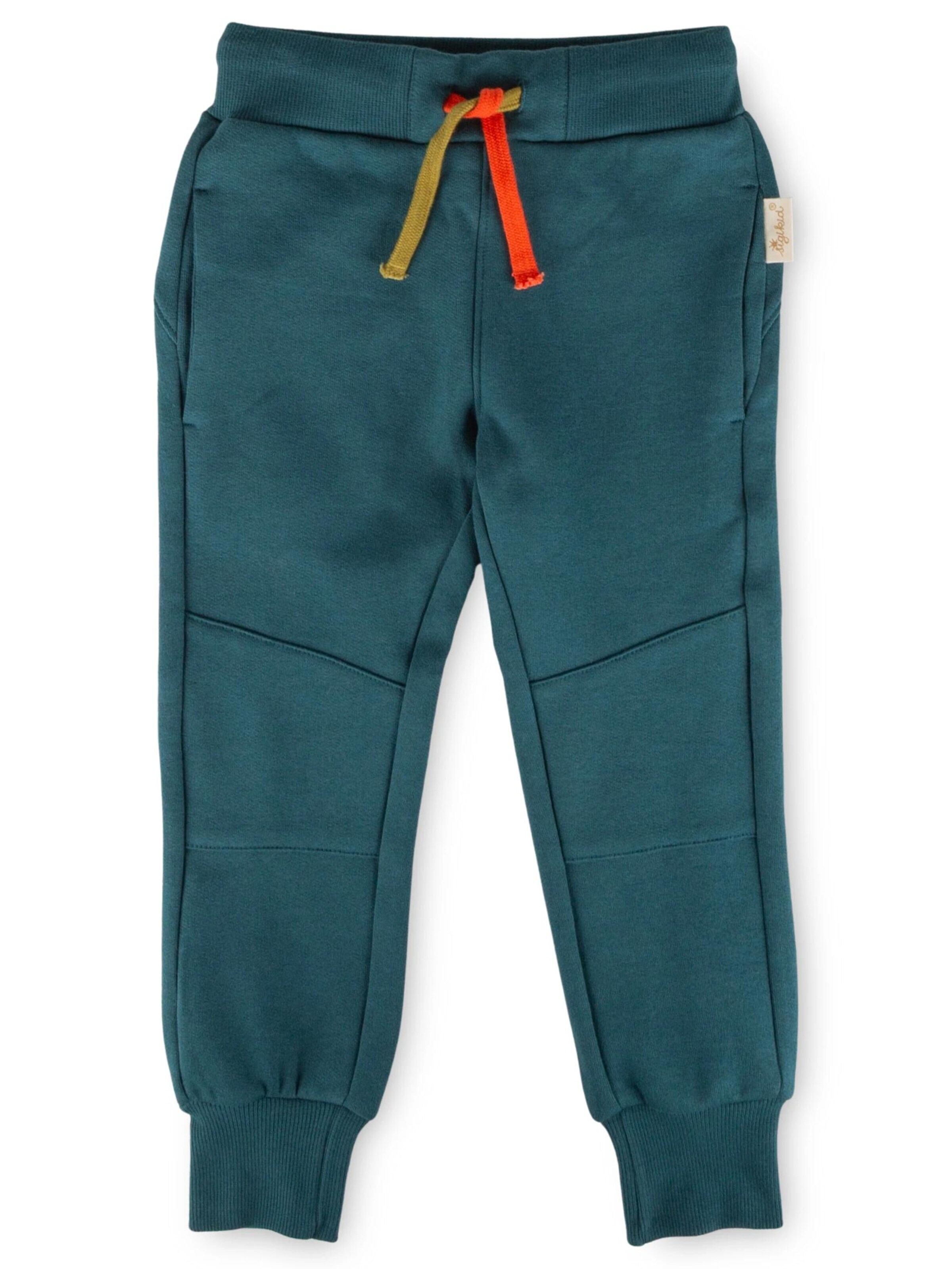 SIGIKID Regular Pants 'Sweathose Dino Fun' in Blue: front