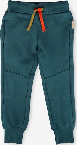 SIGIKID Regular Hose 'Sweathose Dino Fun' in Blau: Vorderseite