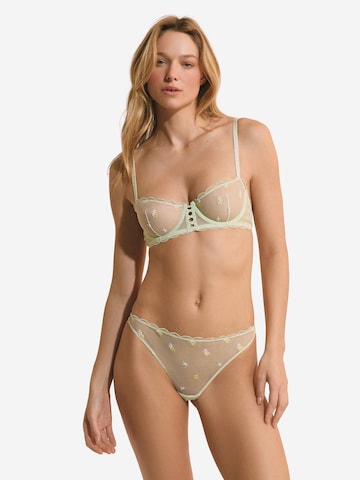 String di ETAM in verde: frontale