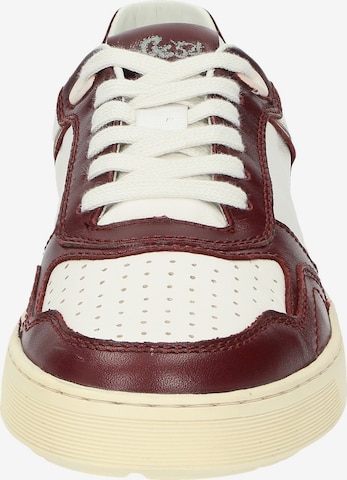 SIOUX Sneakers laag 'Tedroso-DA-700' in Rood