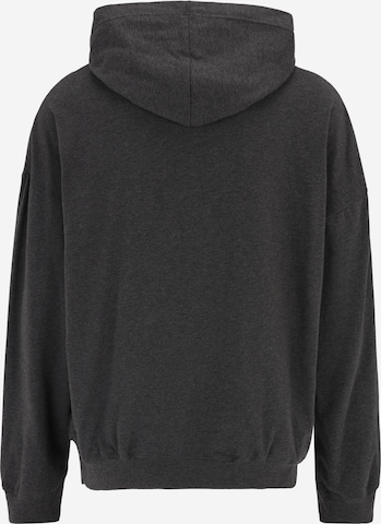 Calvin Klein Underwear Sweatshirt 'Intense Power' i grå