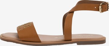 Pepe Jeans Strap Sandals 'Irma' in Brown: front