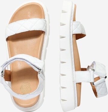 Apple of Eden Sandal 'Greyce' in White