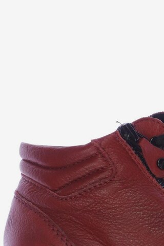 ARA Sneaker 38,5 in Rot
