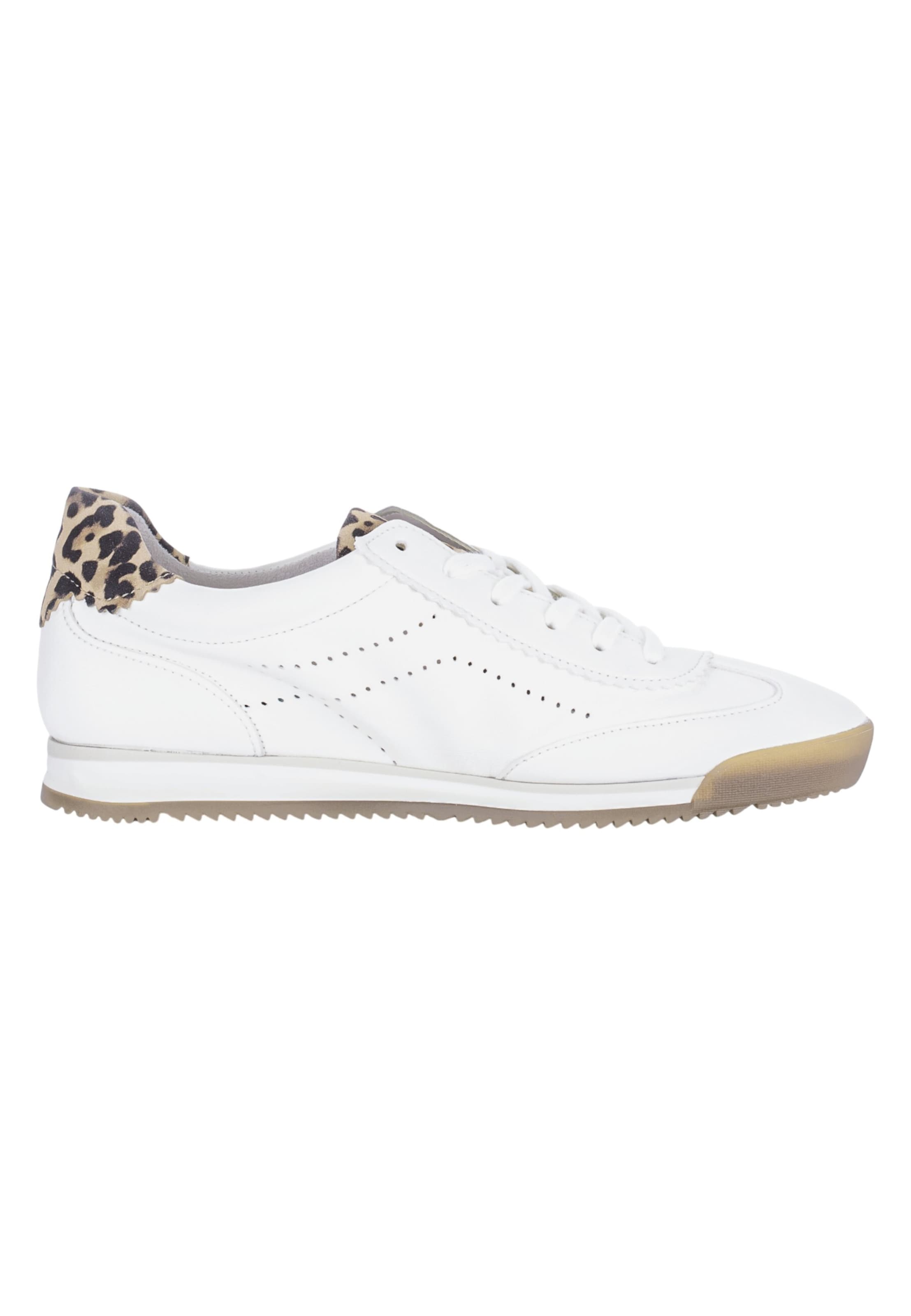 Baskets basses 'Low Top 83.432' GABOR en blanc