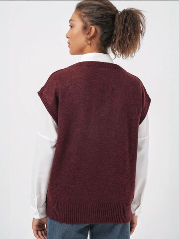 Bigdart Bodywarmer in Rood