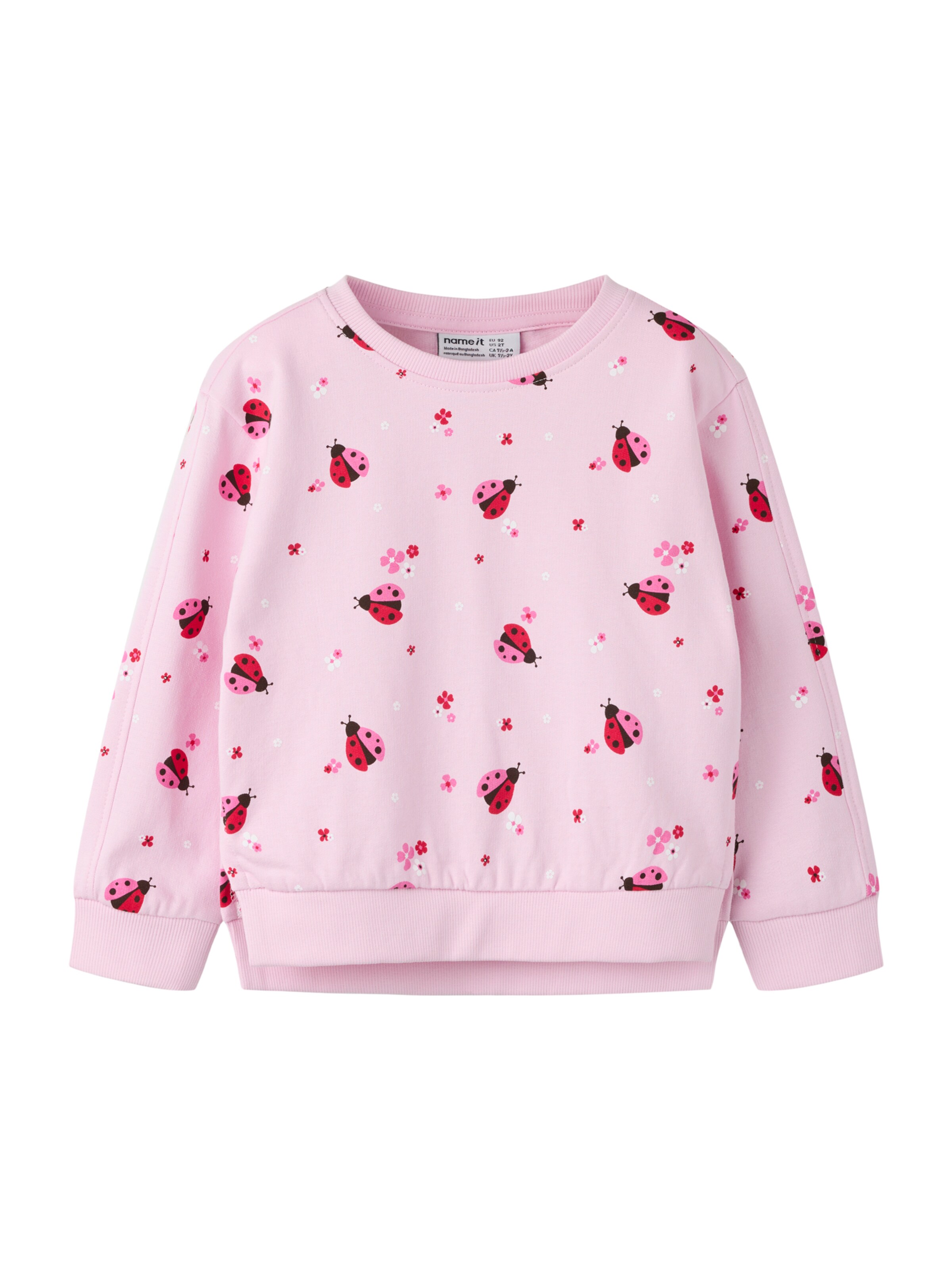 NAME IT Sweatshirt 'NMFBISSINE' in Pink: front