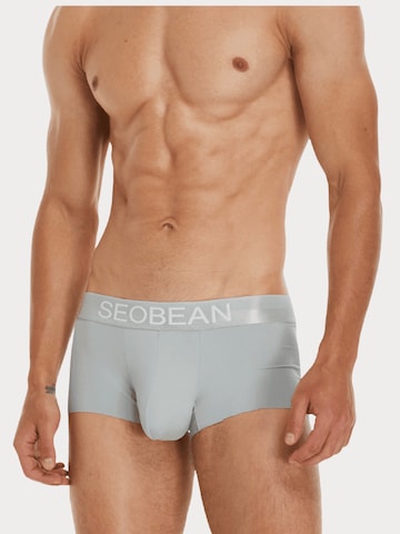 SEOBEAN Boxer shorts 'Classic' in Grey: front