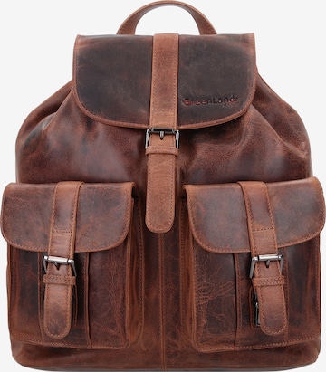 Greenland Nature Backpack 'Montana' in Brown: front