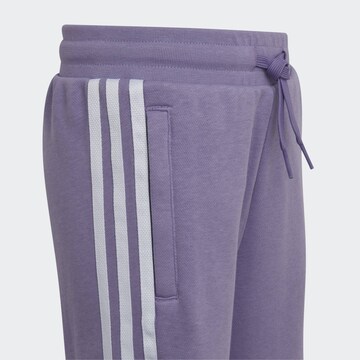 ADIDAS ORIGINALS Jogginganzug 'Adicolor' in Lila