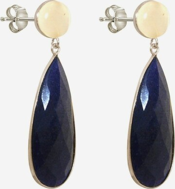Gemshine Ohrringe in Blauw