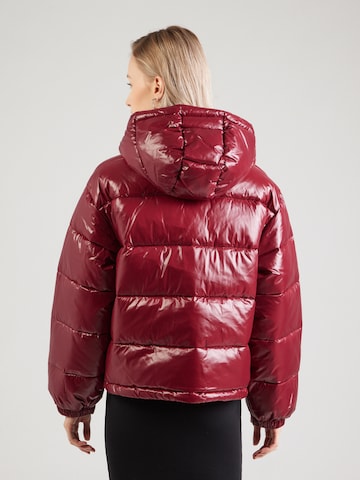 Calvin Klein Jeans Winterjas in Rood