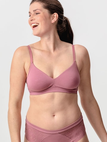 Bustier Soutien-gorge 'Amela' Erlich Textil en violet : devant