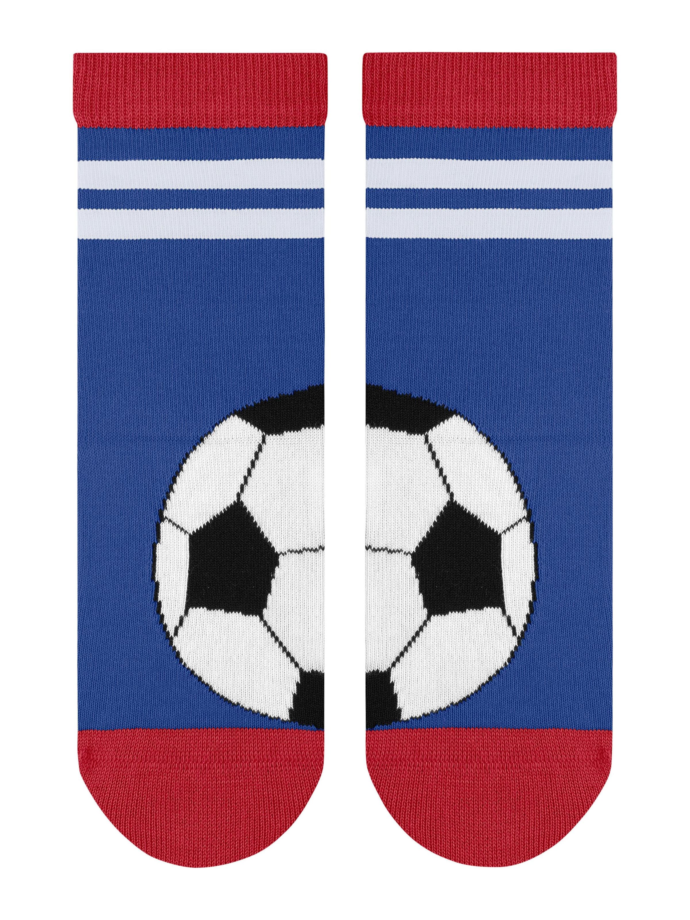 FALKE Socks 'Active Soccer' in Blue