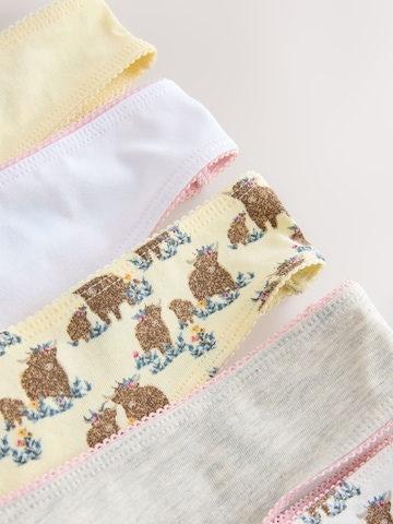 String di Next in colori misti