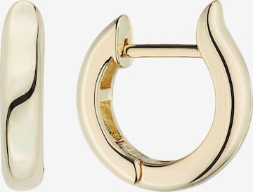 Jobo Earrings in Gold: front