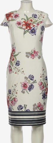 Dorothy Perkins Dress in L in Mixed colors: front
