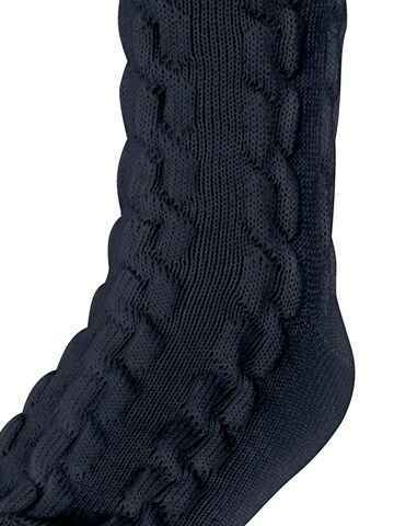 FALKE Socks 'Preppy Cable' in Blue
