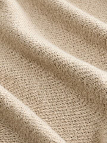 Next Trui in Beige