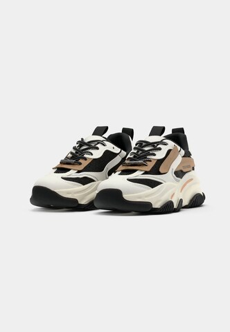 Sneaker bassa 'POSSESSION' di STEVE MADDEN in colori misti