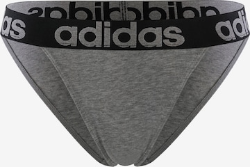 ADIDAS SPORTSWEAR Sportunterhose in Grau