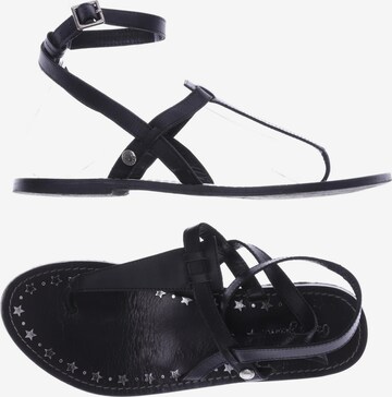 Pepe Jeans Sandals & High-Heeled Sandals in 39 in Black: front
