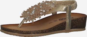 IGI&CO T-Bar Sandals in Gold: front