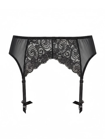 Biggi Big Garter Belt in Black: front