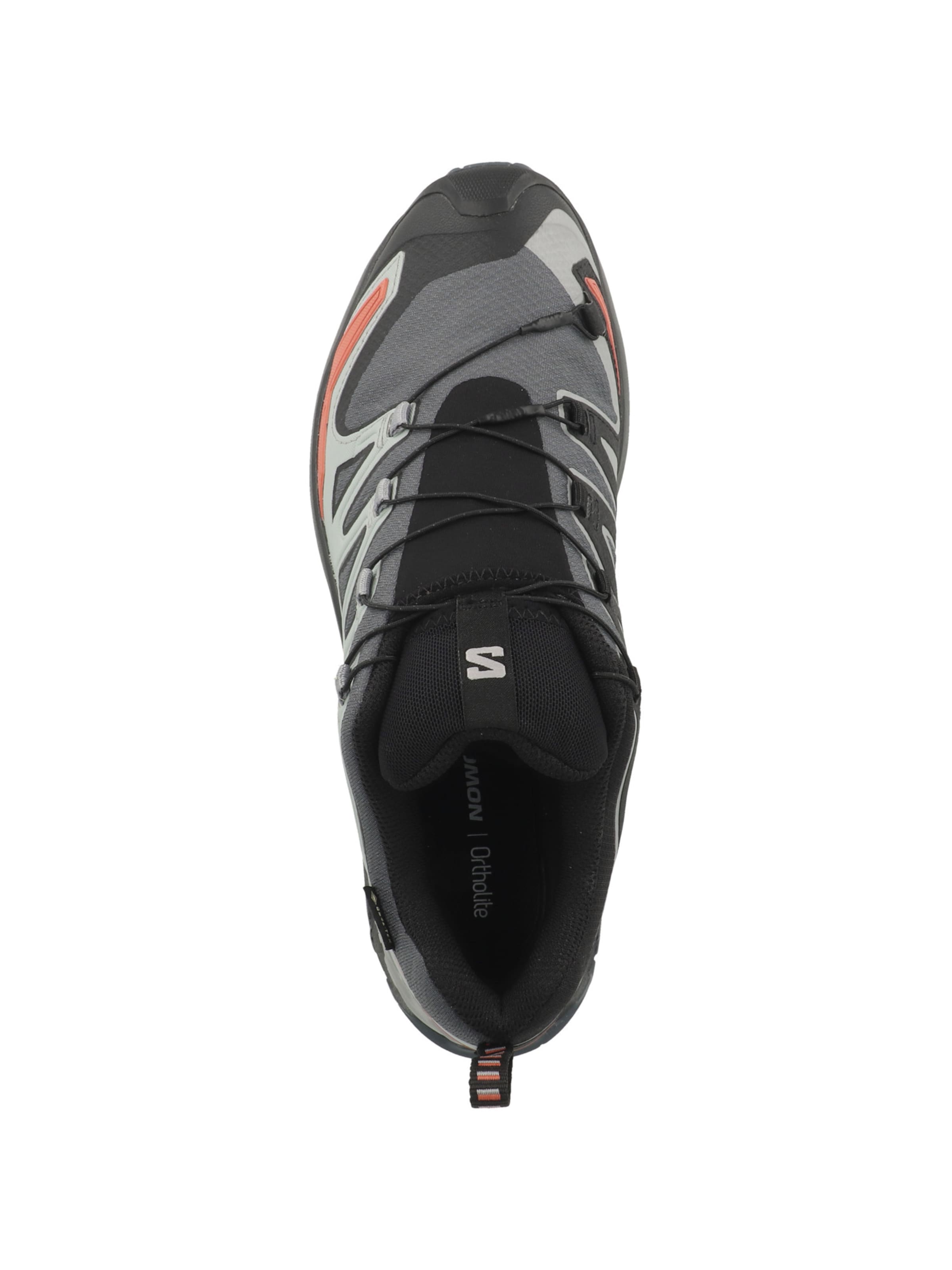 Chaussure de course 'XA PRO 3D V9' SALOMON en gris