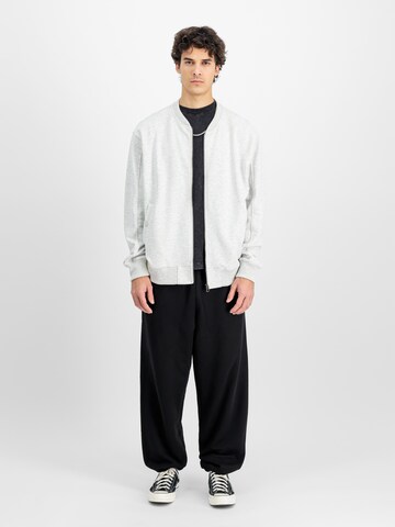 ALPHA INDUSTRIES Демисезонная куртка в Серый