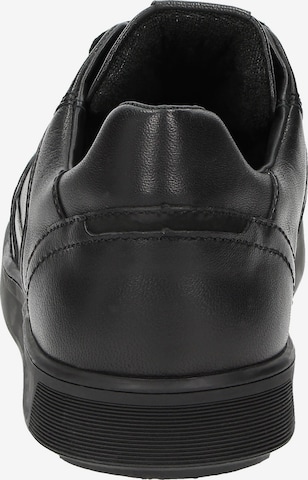 SIOUX Sneaker 'Tedroso' in Schwarz