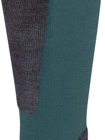 FALKE Socks 'Active Ski' in Green