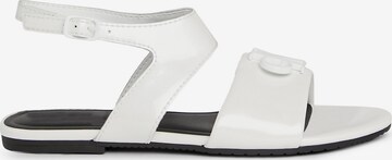 Sandales Calvin Klein Jeans en blanc