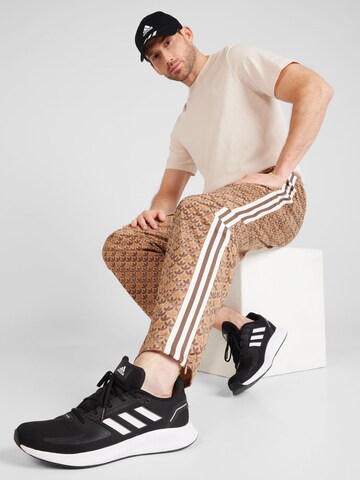 regular Pantaloni 'Classic' di ADIDAS ORIGINALS in marrone