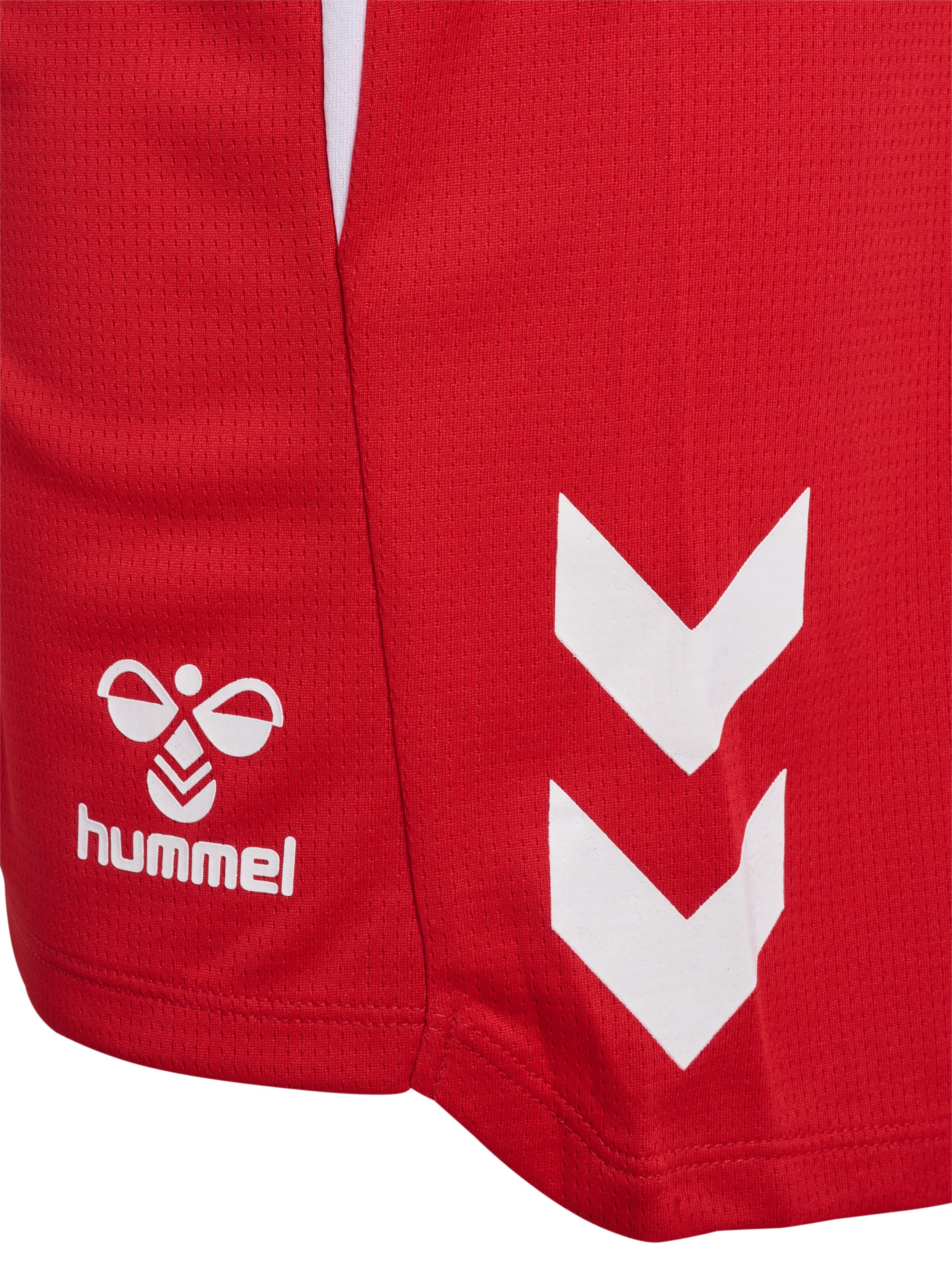 Hummel regular Sportsbukser 'Lead 2.0' i rød