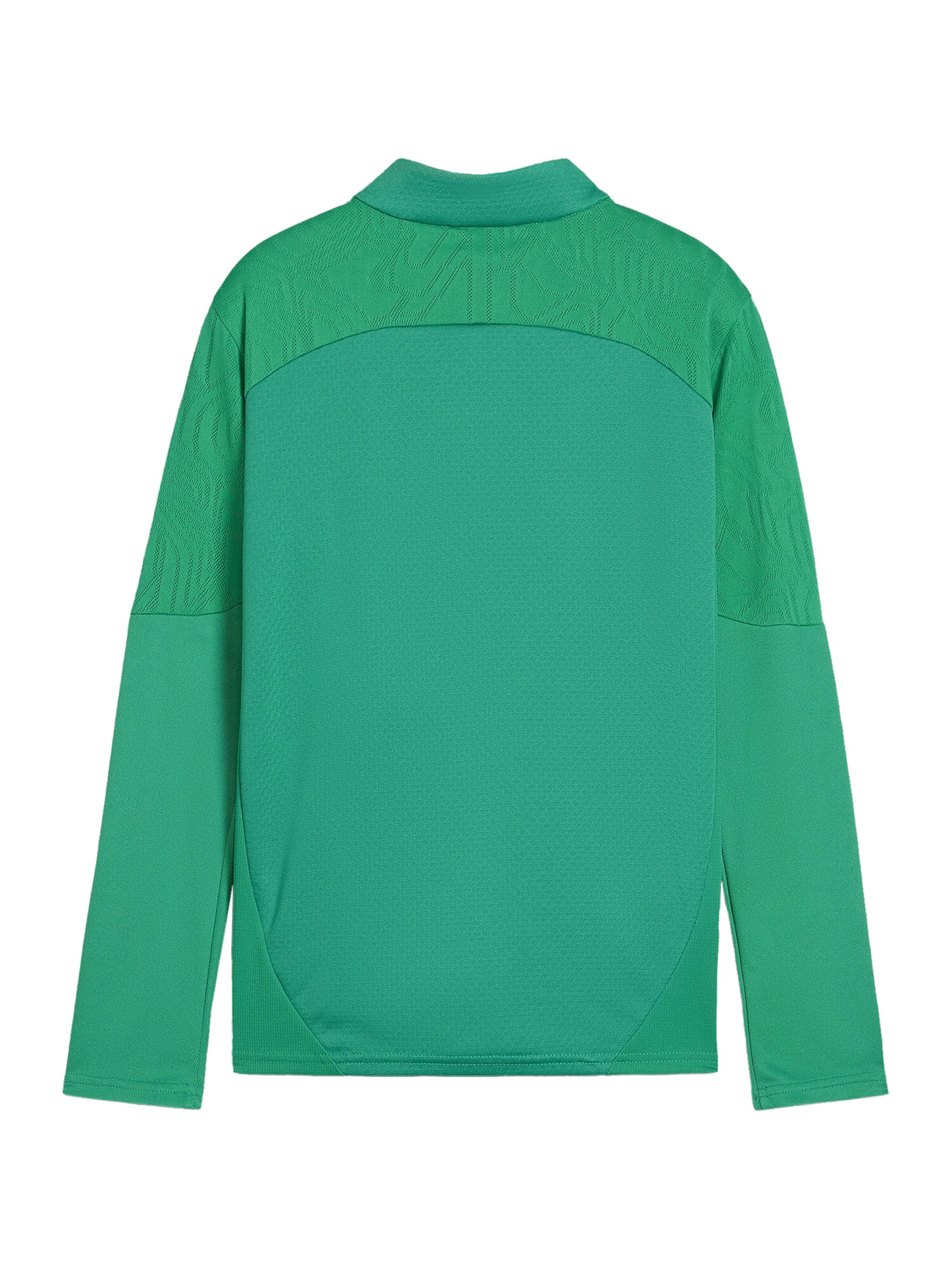 PUMA Performance Shirt 'Team Final' in Green