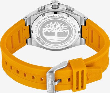 TIMBERLAND Analog Watch 'ABBOTVILLE' in Yellow