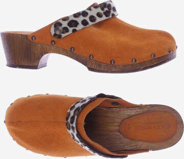CAFÈNOIR Sandals & High-Heeled Sandals in 38 in Orange: front