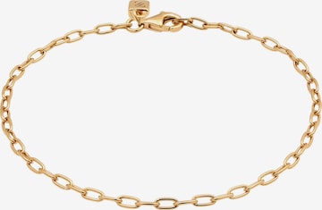 Stilnest Bracelet in Gold: front