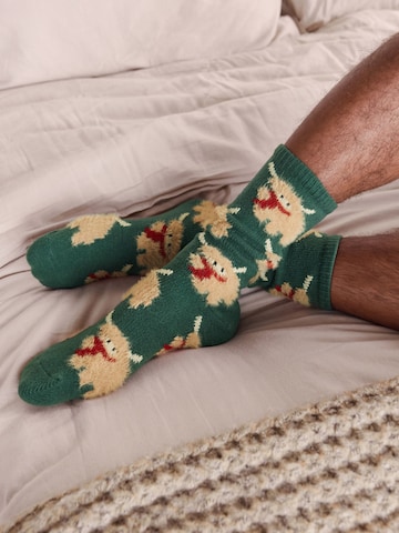 Next Ponožky - Hnedá