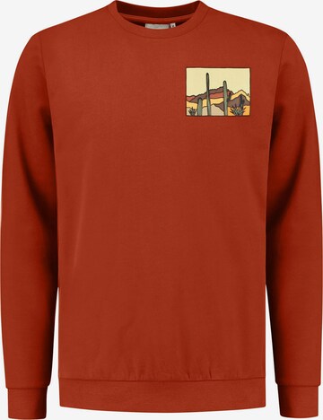 Sweat-shirt Shiwi en marron : devant