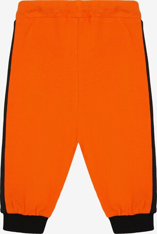 Gulliver Regular Pants in Orange