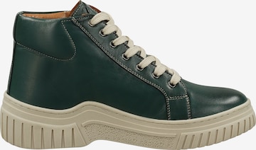 HUSH PUPPIES Veterlaarsjes in Groen